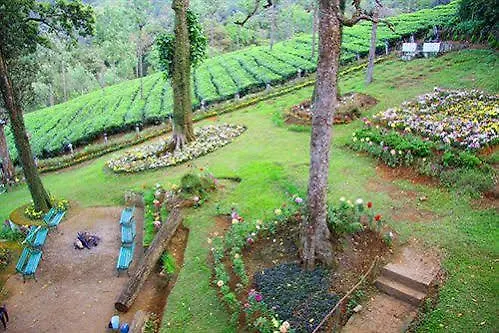 Oak Field Resort Munnar 3*,  India