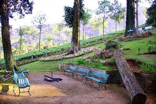 Oak Field Resort Munnar Hotel