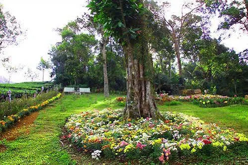 Hotel Oak Field Resort Munnar